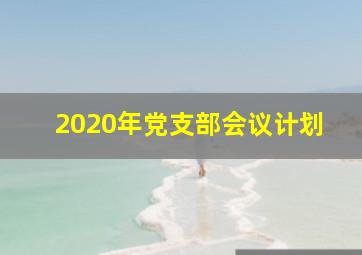 2020年党支部会议计划