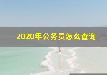 2020年公务员怎么查询