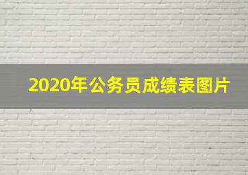 2020年公务员成绩表图片