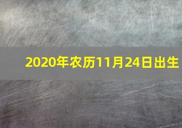 2020年农历11月24日出生