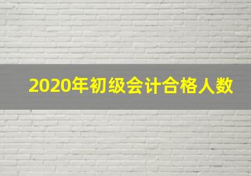 2020年初级会计合格人数