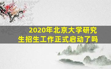 2020年北京大学研究生招生工作正式启动了吗