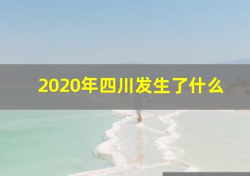 2020年四川发生了什么