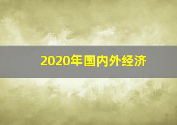 2020年国内外经济