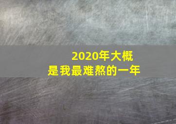 2020年大概是我最难熬的一年