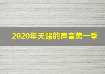 2020年天赐的声音第一季