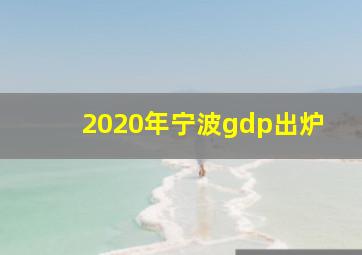 2020年宁波gdp出炉