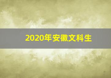 2020年安徽文科生