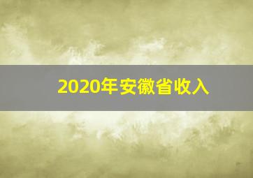 2020年安徽省收入