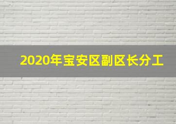 2020年宝安区副区长分工