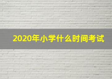 2020年小学什么时间考试