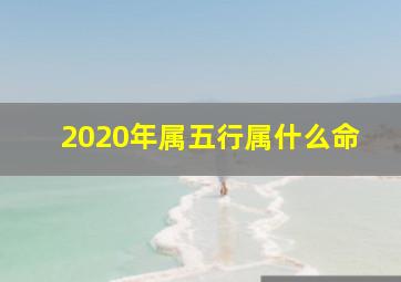 2020年属五行属什么命