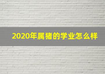 2020年属猪的学业怎么样