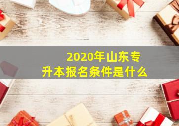 2020年山东专升本报名条件是什么