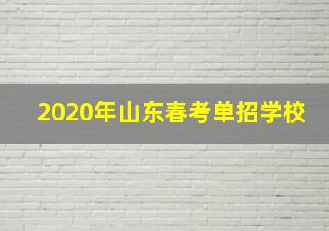 2020年山东春考单招学校