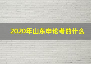 2020年山东申论考的什么