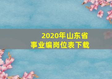 2020年山东省事业编岗位表下载