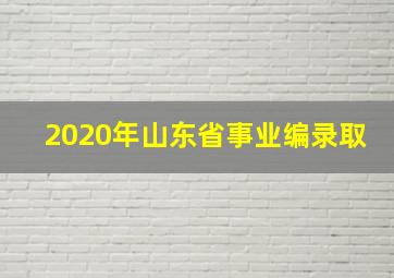 2020年山东省事业编录取