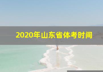 2020年山东省体考时间