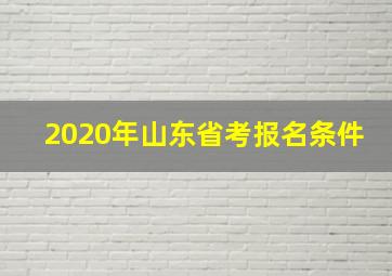 2020年山东省考报名条件