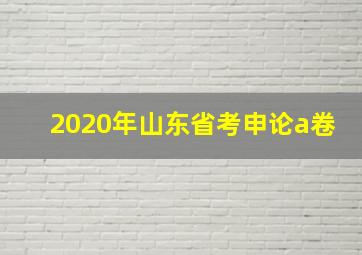 2020年山东省考申论a卷