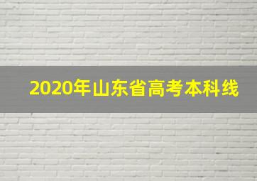 2020年山东省高考本科线