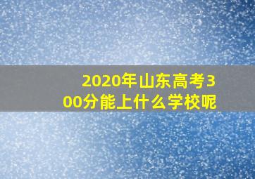 2020年山东高考300分能上什么学校呢