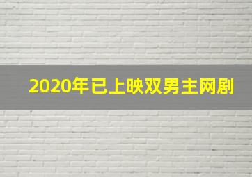 2020年已上映双男主网剧