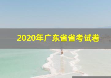 2020年广东省省考试卷