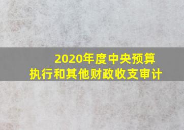 2020年度中央预算执行和其他财政收支审计