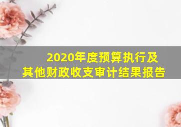 2020年度预算执行及其他财政收支审计结果报告