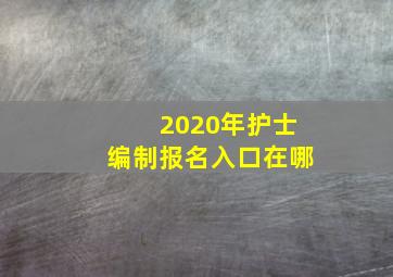 2020年护士编制报名入口在哪