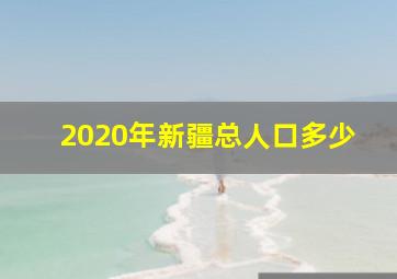 2020年新疆总人口多少