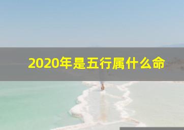 2020年是五行属什么命