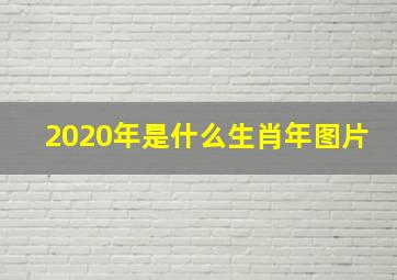 2020年是什么生肖年图片