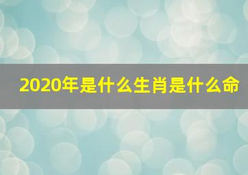 2020年是什么生肖是什么命