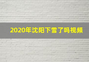 2020年沈阳下雪了吗视频