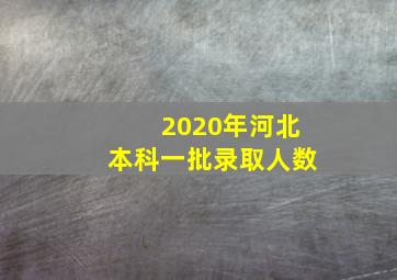 2020年河北本科一批录取人数