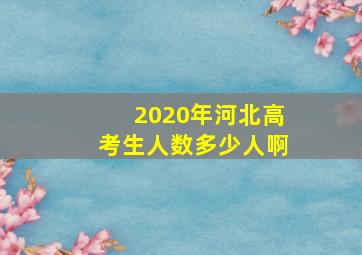 2020年河北高考生人数多少人啊