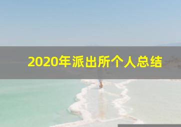 2020年派出所个人总结