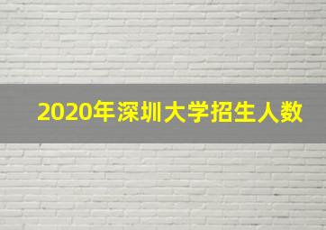 2020年深圳大学招生人数