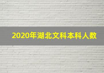 2020年湖北文科本科人数