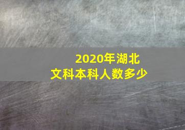 2020年湖北文科本科人数多少