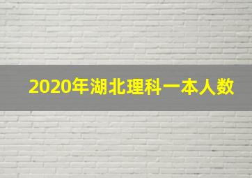 2020年湖北理科一本人数