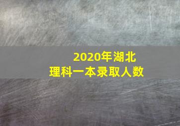 2020年湖北理科一本录取人数