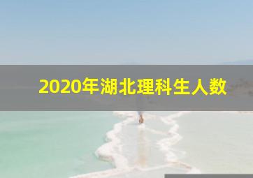 2020年湖北理科生人数