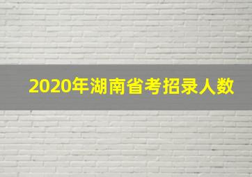 2020年湖南省考招录人数