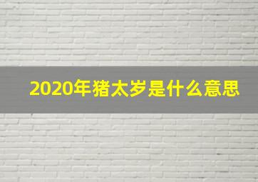 2020年猪太岁是什么意思