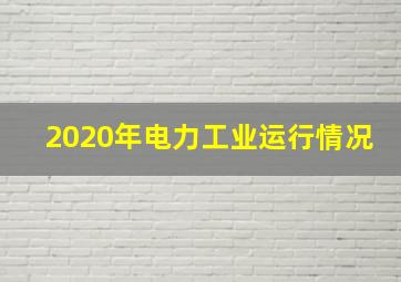 2020年电力工业运行情况