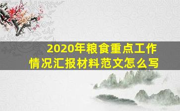 2020年粮食重点工作情况汇报材料范文怎么写